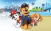 《汪汪队立大功》PAW Patrol英文版 第十季 [全26集]