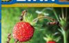 《Subject Link Level 6》NE Build and Grow Subject Link 第6级别