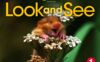 《Look and See Level 1》国家地理Look and See幼儿教材 第1级别