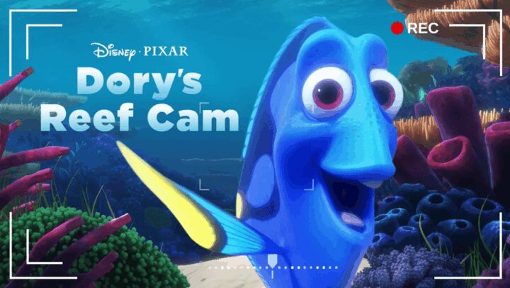 多莉的珊瑚世界 Dory's Reef Cam