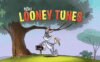 《新乐一通》New Looney Tunes英文版 第三季 [全52集]