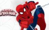 《终极蜘蛛侠》Ultimate Spider-Man英文版 第三季 [全26集]