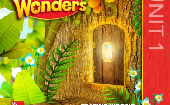 《Wonders G1》麦格劳希尔Wonders G1级别