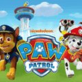 《汪汪队立大功》PAW Patrol完整介绍：英文版第1—11季观看目录 - Bukids陪伴计划