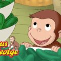 《好奇猴乔治》英文版全15季观看指南：Curious George剧情、角色与英语启蒙推荐 - Bukids陪伴计划