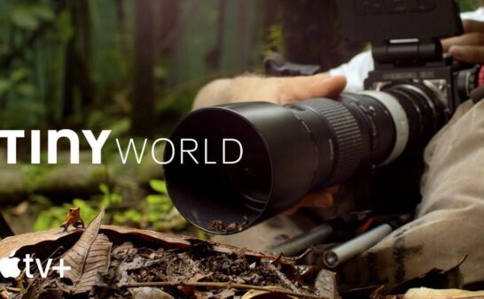 《小小世界》Tiny World英文版 第二季 [全6集]