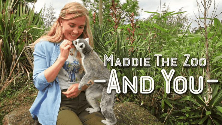 《你知道吗：动物园与你》Maddie, the Zoo and You英文版 [全6集]
