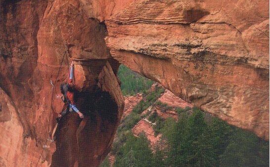 《World Class Level 2 (C1)》国家地理World Class 第2级别