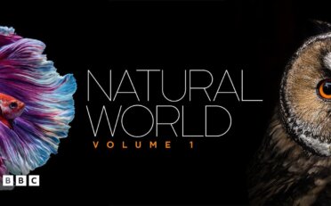 《自然世界》Natural World英文版 [全5集]