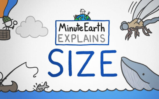 《MinuteEarth》分钟地球Youtube英语科学科普视频 第4辑 [第301-389集]