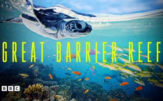 《大堡礁》Great Barrier Reef英文版 [全3集]