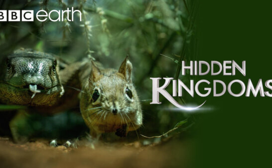 《隐秘王国》Hidden Kingdoms英文版 [全3集]