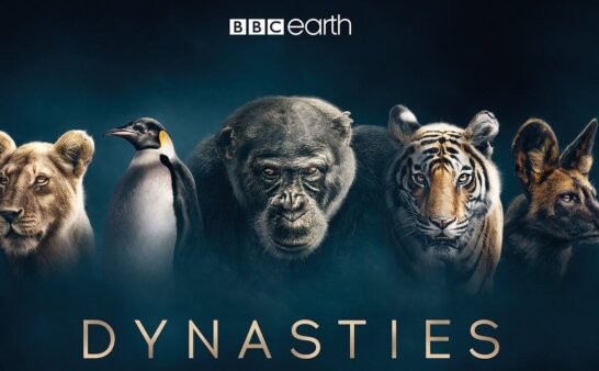 《王朝》Dynasties英文版 第一季 [全6集]