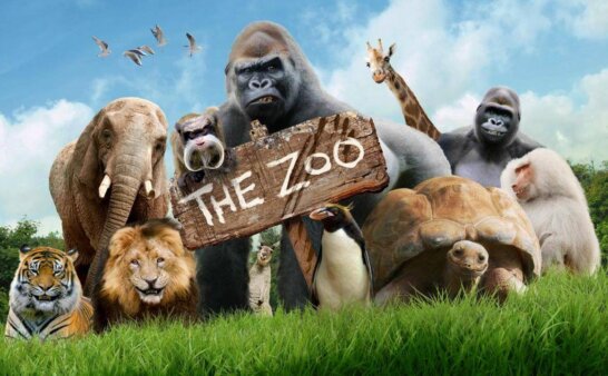 《欢乐动物园》The Zoo英文版 第一季 [全30集]