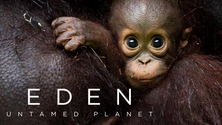 《伊甸园：最后的秘境》Eden: Untamed Planet英文版 [全6集]