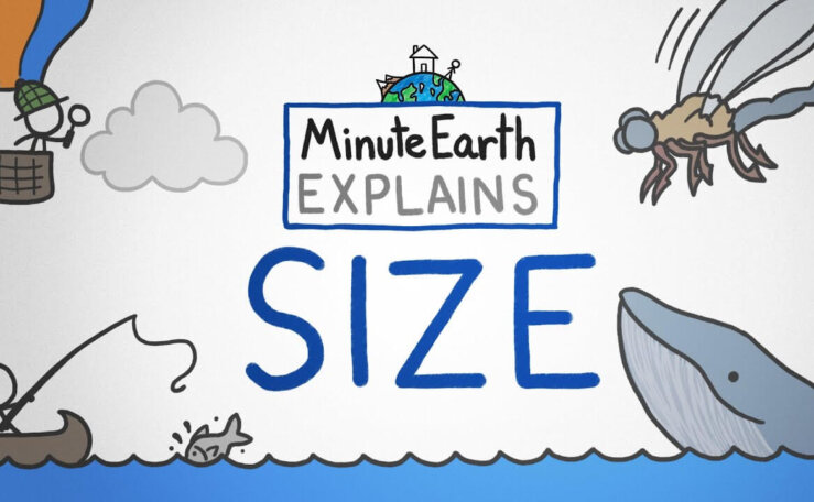 《MinuteEarth》分钟地球Youtube英语科学科普视频 第4辑 [第301-389集]