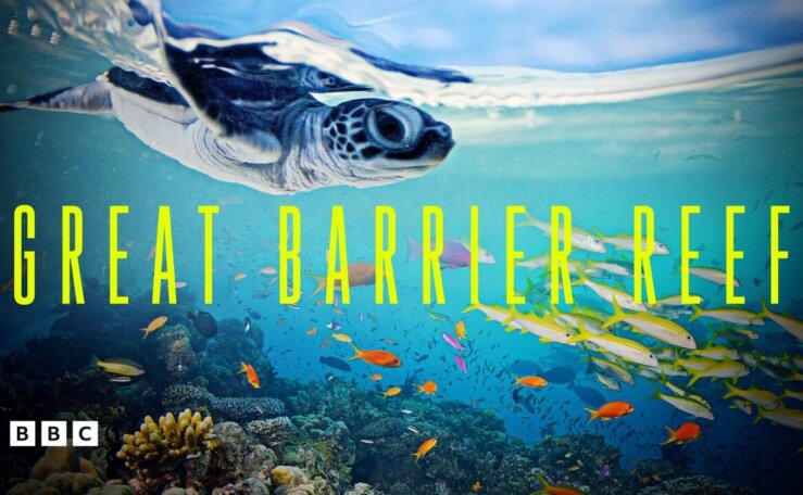 《大堡礁》Great Barrier Reef英文版 [全3集]