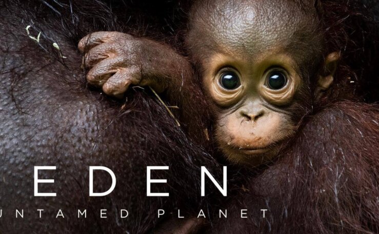 《伊甸园：最后的秘境》Eden: Untamed Planet英文版 [全6集]