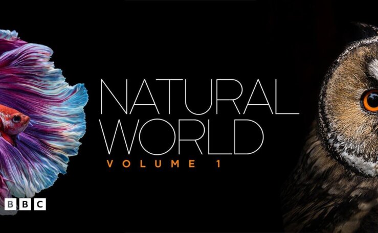《自然世界》Natural World英文版 [全5集]