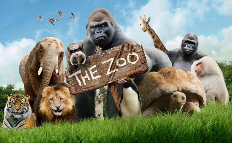 [国语]《欢乐动物园》The Zoo中文版 第一季 [全30集]