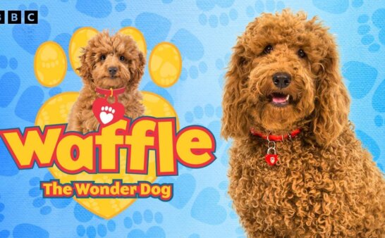 《神奇狗狗华夫饼》Waffle the Wonder Dog英文版 第一季 [全15集]