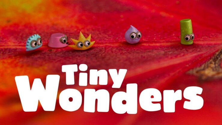 《小奇迹》Tiny Wonders英文版 第五季 [全12集]
