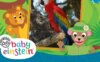 《小小爱因斯坦经典系列》Baby Einstein Classics英文版 第四季 [全6集]