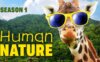 《动物美德课堂》Human Nature英文版 第一季 [全26集]
