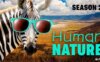 《动物美德课堂》Human Nature英文版 第二季 [全26集]