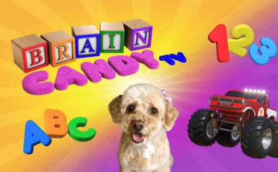 《脑力糖果TV》Brain Candy TV英文版 第三季 [全10集]