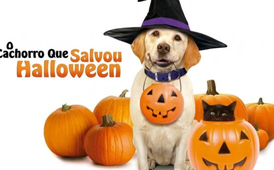 《妙狗拯救万圣节》The Dog Who Saved Halloween英文版 [2011年]