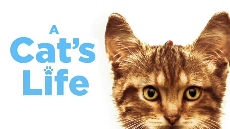 《我和喵喵的冒险旅行》A Cat's Life英文版 [2023年]