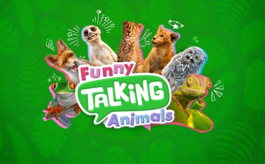 《搞笑动物脱口秀》Funny Talking Animals英文版 第一季 [全26集]