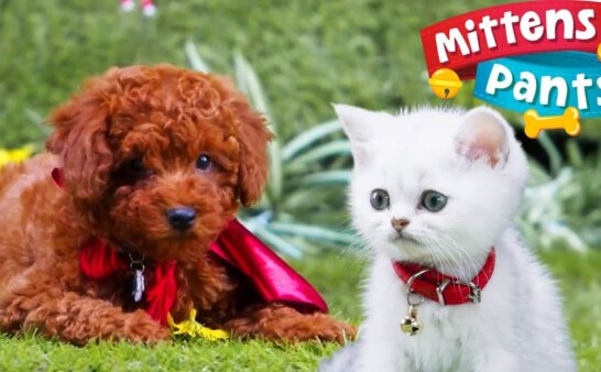 《牛奶与巧克力》Mittens and Pants英文版 第三季 [全44集]
