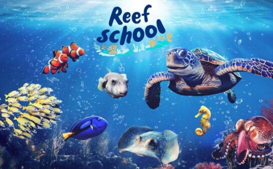 《珊瑚学院》Reef School英文版 第一季 [全20集]