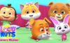 《快乐坚果儿歌》Loco Nuts Nursery Rhymes英文版 第一季 [全7集]