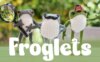 《小青蛙探索记》Froglets英文版 第一季 [全26集]